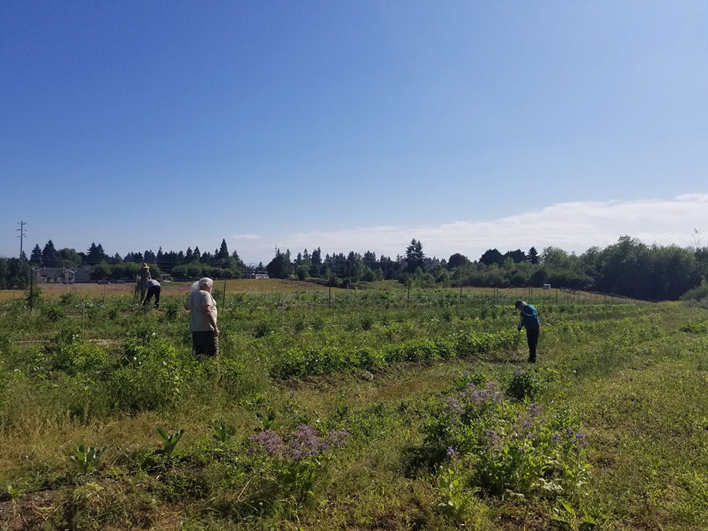 Partners in Careers Success Stories | Dustin